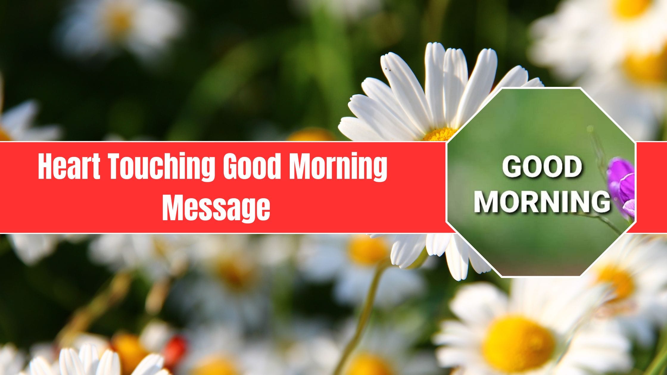 Heart Touching Good Morning Message - Quotes