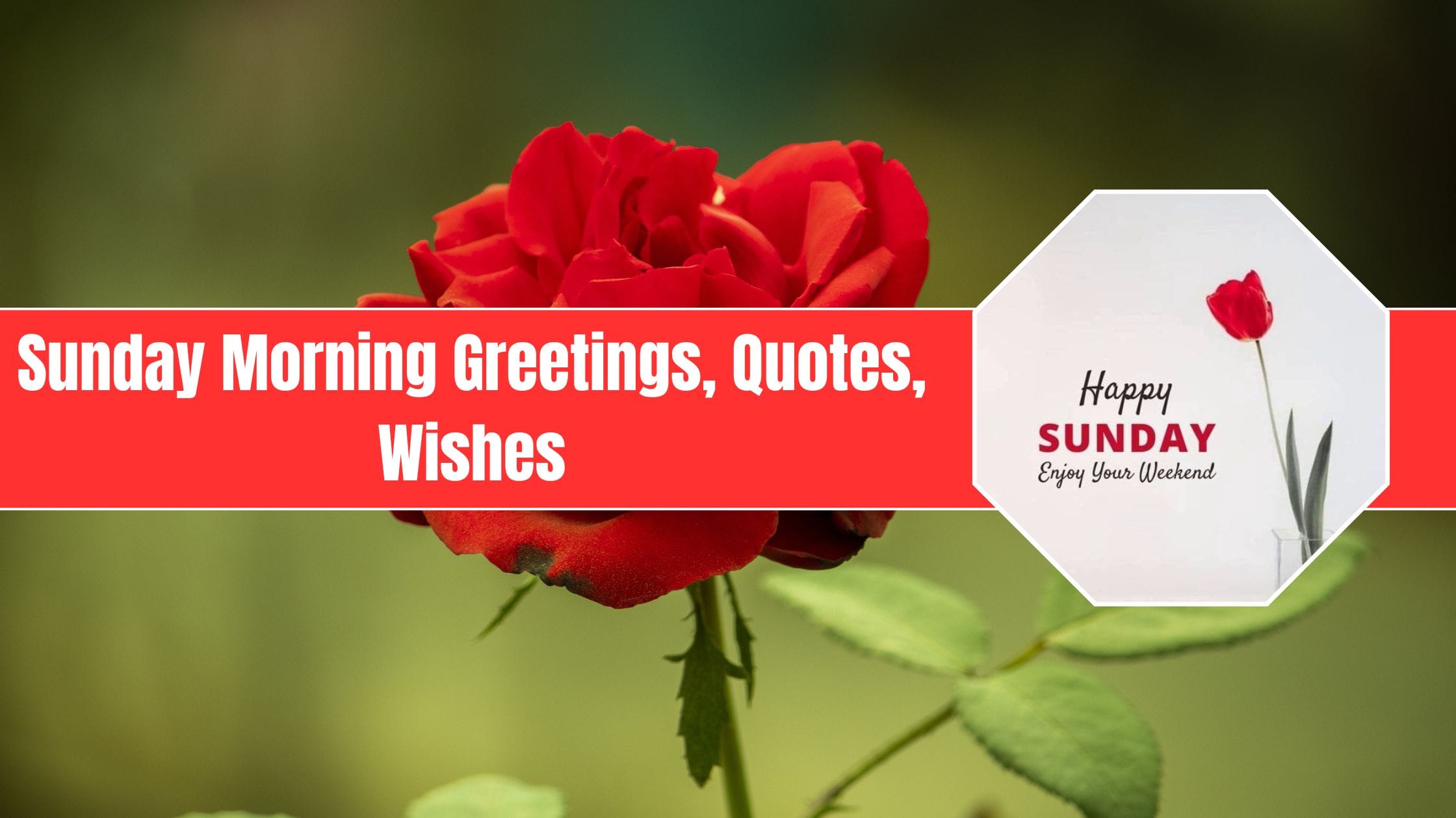 Sunday Morning Greetings, Quotes, Wishes