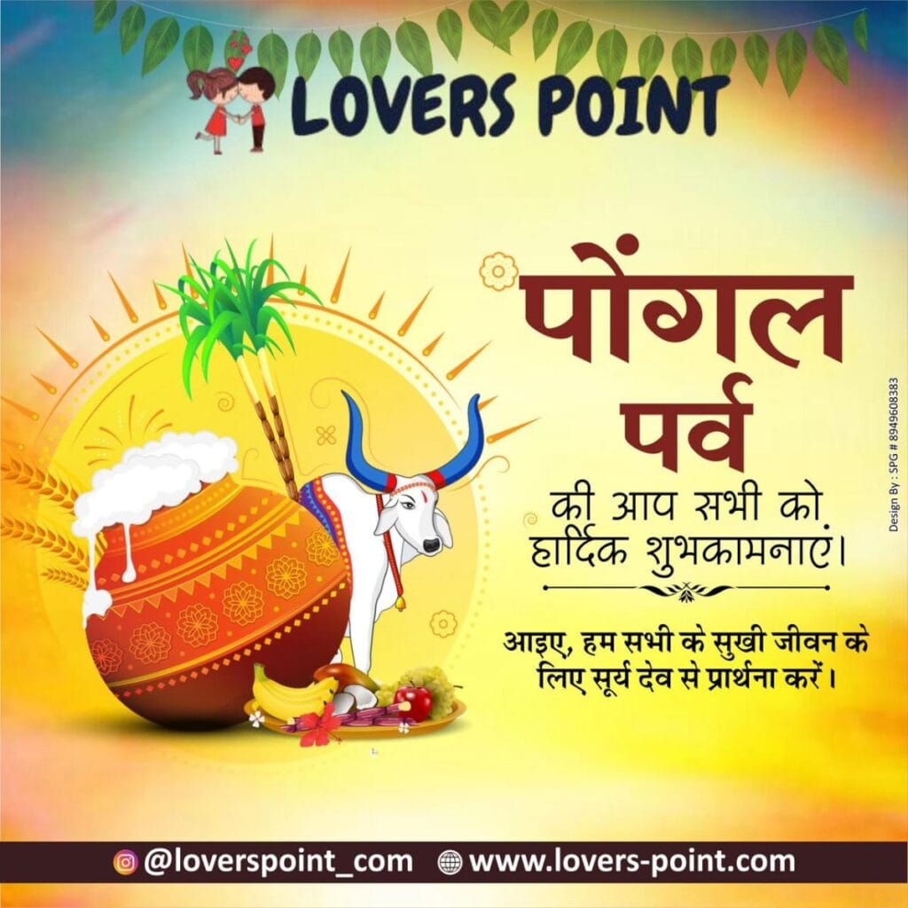 14th January 2025 – Makar Sankranti or Pongal Festival 2 pongal Wishes Image