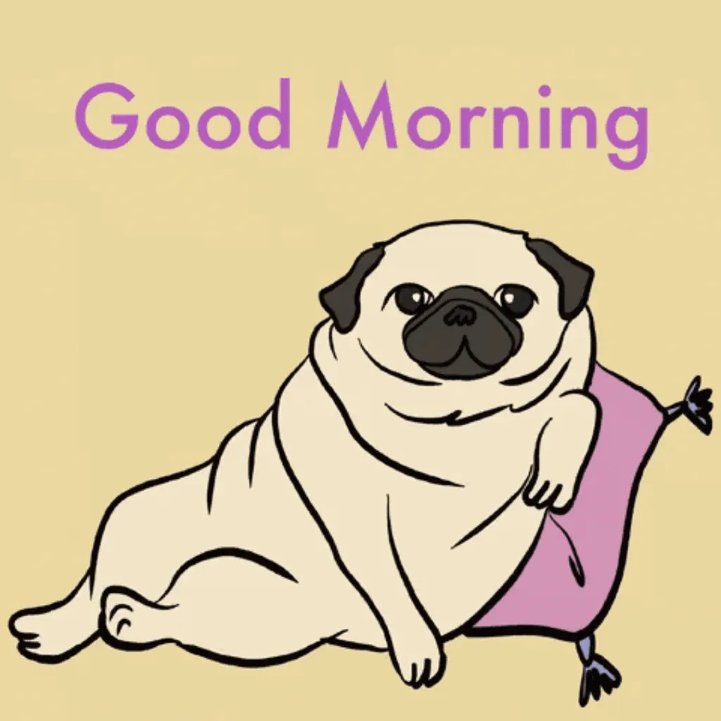 100+ Good Morning GIF Lovers – Free Download & Share Romantic Greetings 9 Good Morning GIF Lovers (9)